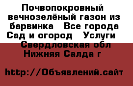 Почвопокровный, вечнозелёный газон из барвинка - Все города Сад и огород » Услуги   . Свердловская обл.,Нижняя Салда г.